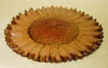 FLIZE 012.JPG